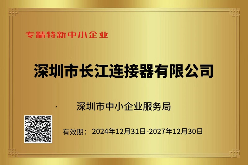 2024年专精特新中小企业